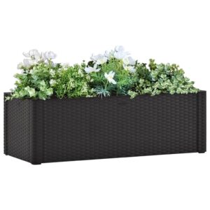 Self-Watering Raised Garden Bed Anthracite Rattan Look UV Weather Frost Resistant Indoor Outdoor Use