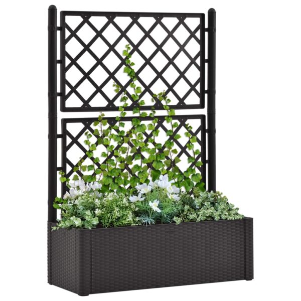 Anthracite Garden Raised Bed with Trellis  Self Watering System  UV Weather Frost Resistant