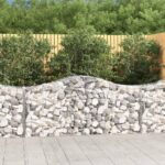 Arched Gabion Baskets 12 pcs 200x50x80/100 cm Galvanised Iron