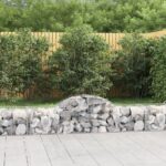 Arched Gabion Baskets 2 pcs 200x50x40/60 cm Galvanised Iron