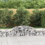 Arched Gabion Baskets 3 pcs 300x50x40/60 cm Galvanised Iron