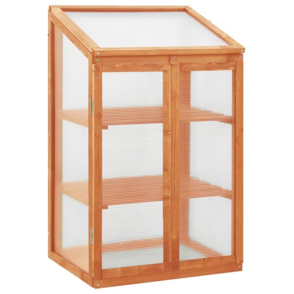 Spacious Wooden Greenhouse Garden Plant Protection Firwood PC Board Two Shelves