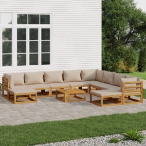 11 Piece Garden Lounge Set with Taupe Cushions Solid Wood