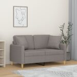 Modern Light Grey Two-Seater Sofa with Throw Pillows  Durable Fabric  Comfortable Seating