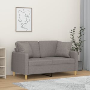 Modern Light Grey Two-Seater Sofa with Throw Pillows  Durable Fabric  Comfortable Seating