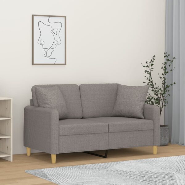 Modern Light Grey Two-Seater Sofa with Throw Pillows  Durable Fabric  Comfortable Seating