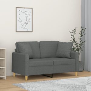 Modern 2-Seater Sofa with Throw Pillows in Dark Grey Fabric  Comfortable and Durable