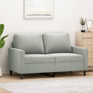 Chic Light Grey Velvet Loveseat Comfortable Padded Metal Frame Modern Sofa