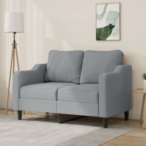 Modern Light Grey Fabric Loveseat Comfortable Padded Metal Frame Sofa Chic Decor