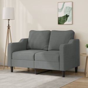 Comfy Modern 2-Seater Sofa Dark Grey Fabric Upholstered Metal Frame Living Room