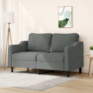 Comfy Modern 2-Seater Sofa Dark Grey Fabric Upholstered Metal Frame Living Room