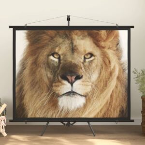 Matte White Portable Projection Screen Home Theater Wall Mount 160° Viewing 4:3