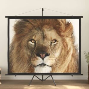 Matte White Portable Projection Screen Home Theater Conference Room Wall Mount