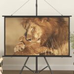 Matte White Portable Projection Screen Home Theater Wall Mount 160 Degree View