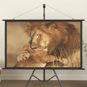 Matte White Home Theater Projection Screen Portable Wall Mount Fabric Iron