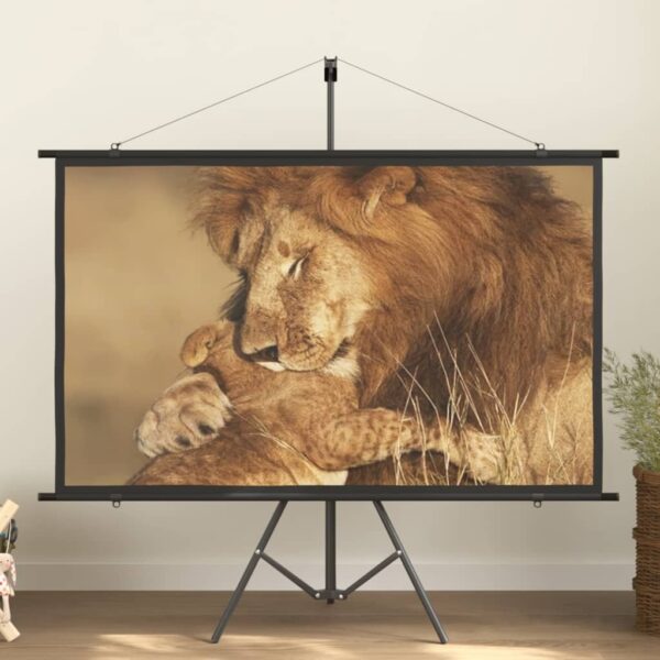 Matte White Portable Projection Screen Home Theater Wall Mount 72 Inch 16:9 HD