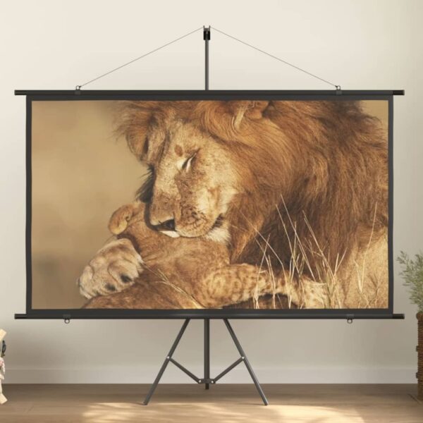 Matte White Home Theater Projection Screen Portable Wall Mount 16:9 HD Display