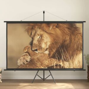 Matte White Portable Projection Screen Home Theater Wall Mount 16:9 HD Display