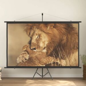 Matte White Home Theater Projection Screen Fabric Iron Frame Wall Mount Portable