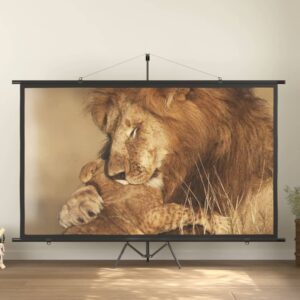 Matte White Portable Projection Screen Home Theater Wall Mount 16:9 Wide Angle