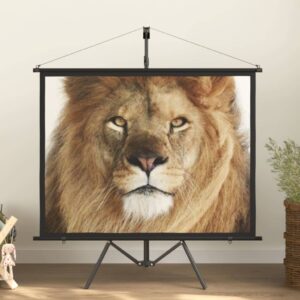 Matte White Portable Projector Screen with Adjustable Tripod Stand Home Theater