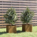 Garden Planters 2 pcs Honey Brown 31x31x31 cm Solid Pinewood