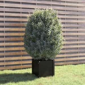 Garden Planter Black 40x40x40 cm Solid Pinewood