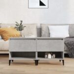 Chic Concrete Grey Side Tables Set of Two with Storage and Metal Feet