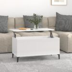 High Gloss White Lift Top Coffee Table Engineered Wood Hidden Storage Modern Design