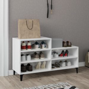 High Gloss White Shoe Cabinet Chic Engineered Wood Storage Organizer with Shelves