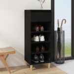 Chic Black Shoe Storage Cabinet with Drawer and Shelves Engineered Wood