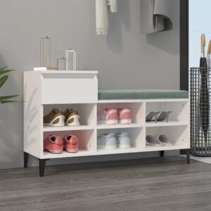 Elegant White Shoe Cabinet Modern Metal Legs Ample Storage Space Organizer