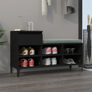 Elegant Black Shoe Cabinet Engineered Wood Metal Legs Ample Storage Space