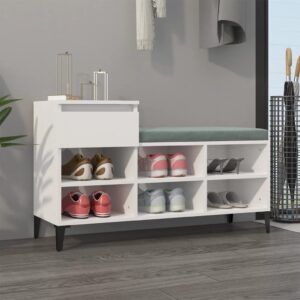 High Gloss White Shoe Cabinet Modern Engineered Wood Storage Organizer with Metal Legs