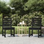 Garden Chairs 2 pcs Black 40.5x48x91.5 cm Solid Wood Pine