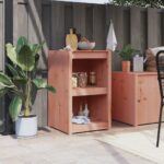 Solid Wood Outdoor Kitchen Cabinet Ample Storage Weather Resistant Modular