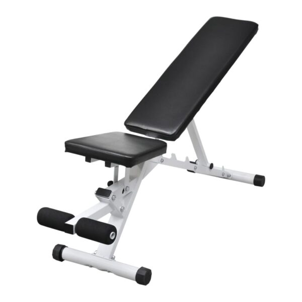 Adjustable Fitness Workout Bench Home Gym Strength Training Muscle Toning Seat