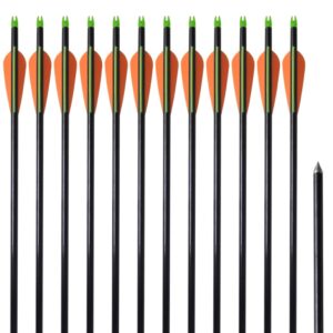 High-Quality Fiberglass Archery Arrows Lightweight Strong Adult Use Pack of Twelve