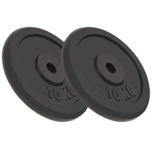 Cast Iron Weight Plates Set Home Gym Fitness Training Equipment Black 20kg Pair