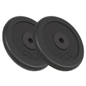 Cast Iron Weight Plates Set Home Gym Fitness Training Equipment Black 40kg Pair