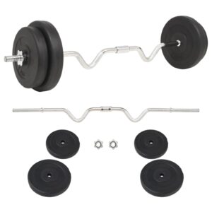 Adjustable Cement Weight Plates and Steel Barbell Set Home Gym Workout Black