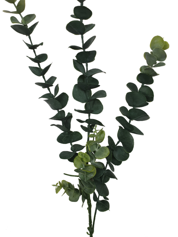 HomeDiscount-5 Pack - Long Eucalyptus Stem 77 cm