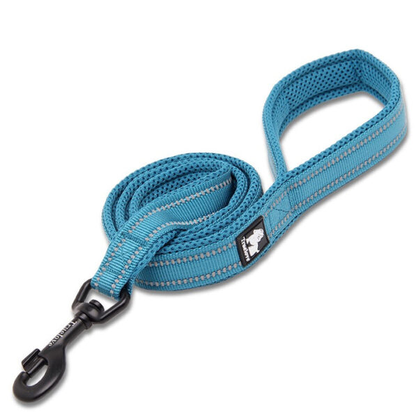 HomeDiscount-Reflective Pet Leash 2m - Blue  L