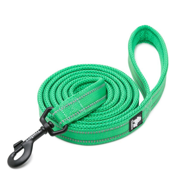 HomeDiscount-Reflective Pet Leash 2m - Green  L