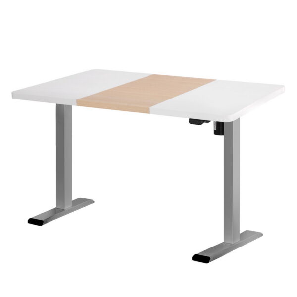 HomeDiscount-Standing Desk Electric Sit Stand Desks 120CM