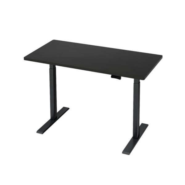 HomeDiscount-Standing Desk Motorised Dual Motor Black 120CM