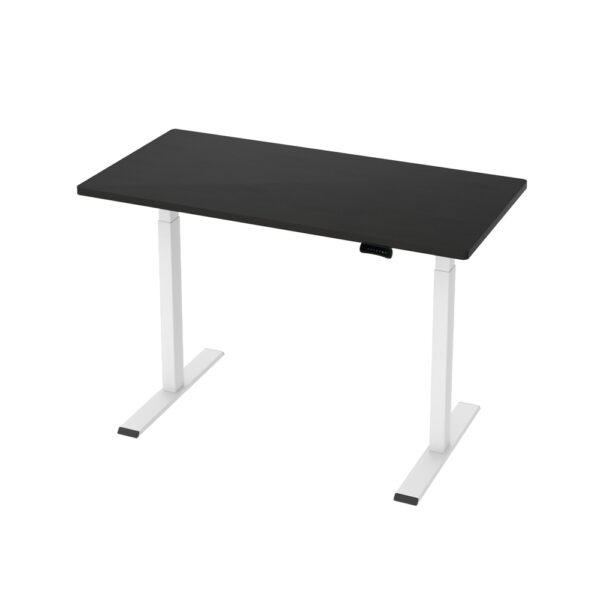 HomeDiscount-Standing Desk Motorised Dual Motor 120CM Black