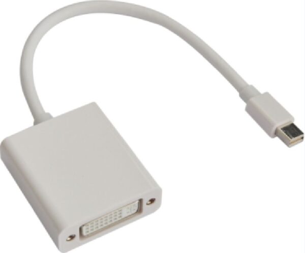 HomeDiscount-Mini DisplayPort DP to DVI Cable 20cm - 20 pins Male to 24+5 pins Female Nickle