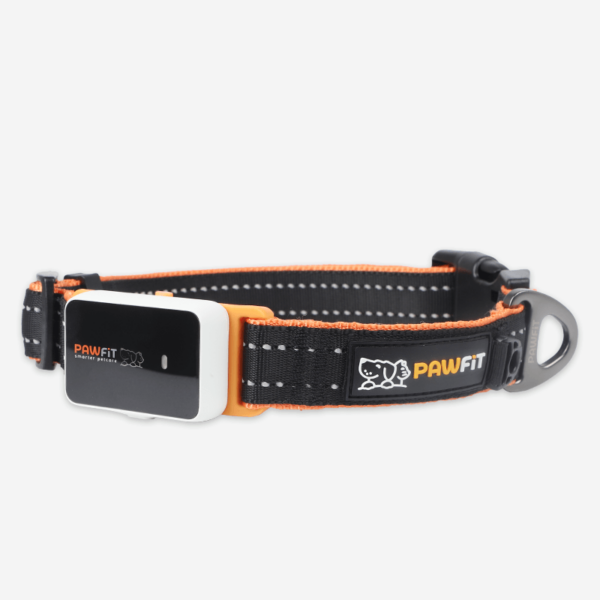 HomeDiscount-Pawfit 3 Collar Small