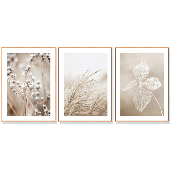 HomeDiscount-Wall Art 40cmx60cm Dried Flower 3 Sets Wood Frame Canvas